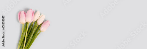 Banner with bouquet of pink tulip flowers on a blue background. Floral concept with copyspace.