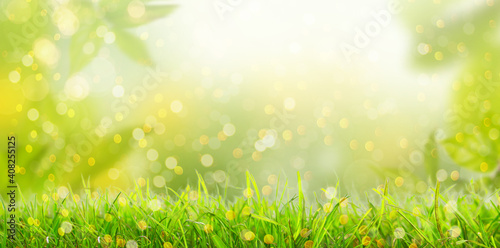 Summer background with frame of grass and leaves on nature. Juicy lush green grass on meadow in morning sunny light outdoors, copy space, soft focus, defocus background. © drubig-photo