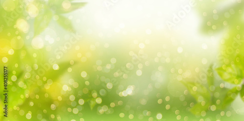 Blurred background in natural landscape and bokeh in spring with lights and bokeh and leaves.