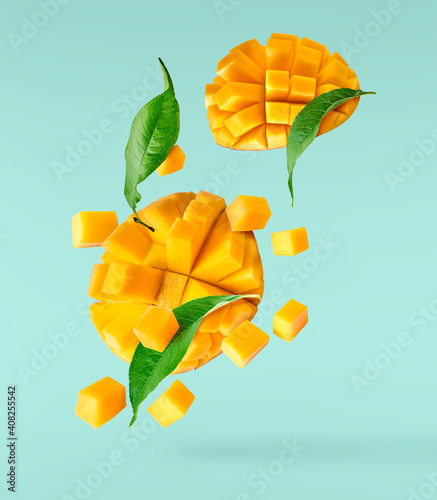 Canvas Print Fresh ripe mango falling in the air