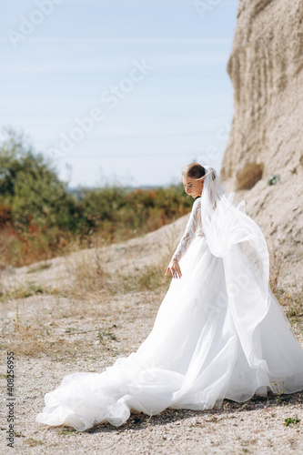 Portrait of a bride and luxury dress near the rocks on a wedding day