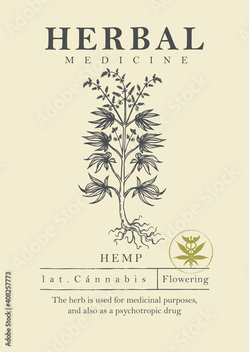 Botanical illustration of a hand-drawn hemp plant in retro style. Vector banner, label or packing for Medicinal cannabis. Herbal medicine, green pharmacy. Medicinal herbs collection