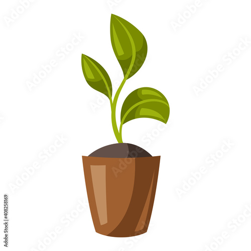 Illustration of young seedling in pot.