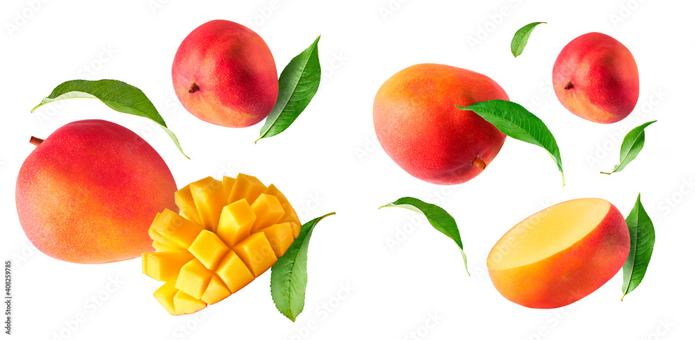 Fresh ripe mango falling in the air Fresh ripe mango falling in the air