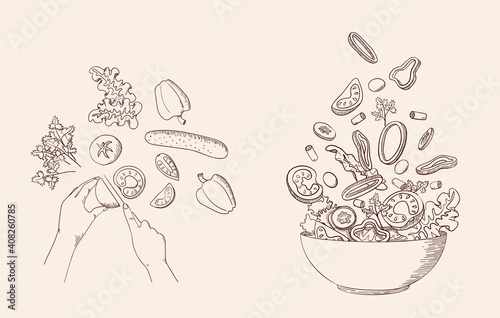 Green vegetable salad in line sketch style. Concept cooking organic healthy food with fresh farm products. Tomato, cucumber, bell pepper. Vegan, vegetarian, dietary, vitamin dish. Vector illustration