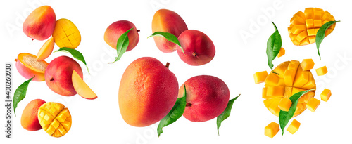 Fototapeta Naklejka Na Ścianę i Meble -  Fresh ripe mango falling in the air
