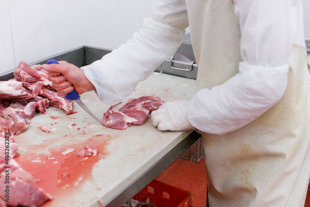 View of a worker in meat factory, chopped a fresh beef meat in pieces on metal work table, industry of processing food.