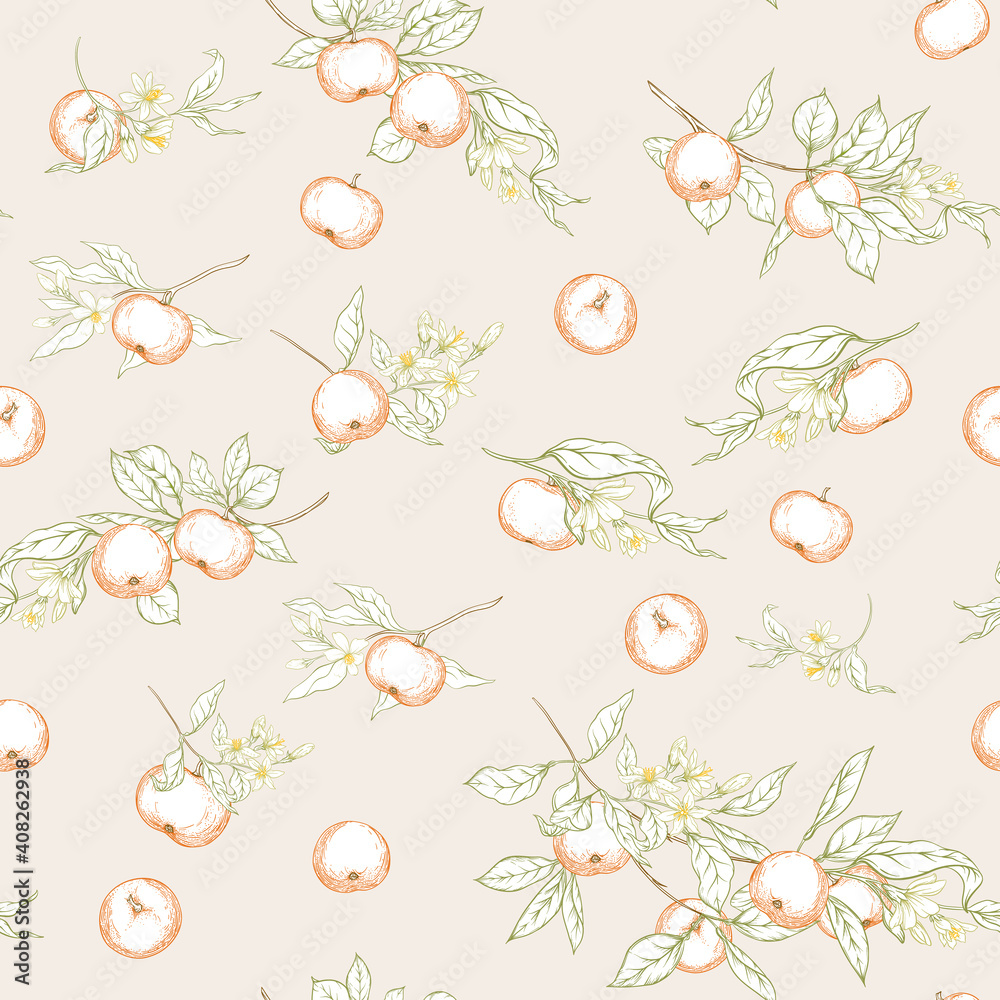 Fototapeta premium Mandarin, tangerine tree branch with fruits, flowers and leaves. Seamless pattern, background. Colored vector illustration. Isolated on white background..