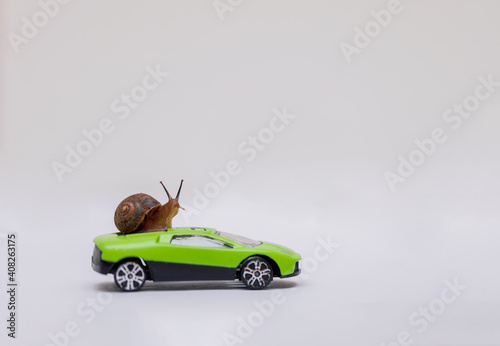 Snail on a green car on a light background. Mammal on a vehicle, a wild animal. Macro. Copy space.