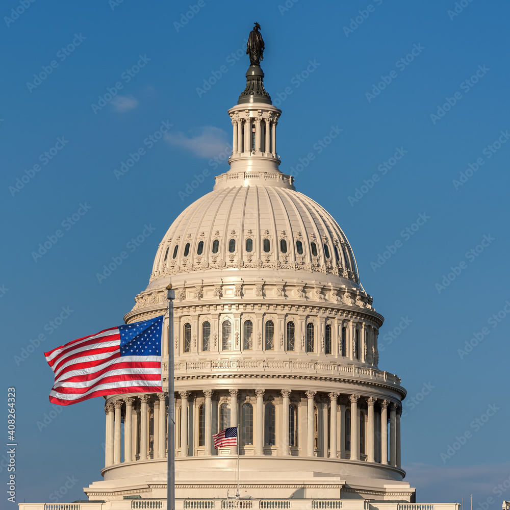 US Capitol Building with American flags is the home of the United States Congress in Washington D.C, USA.