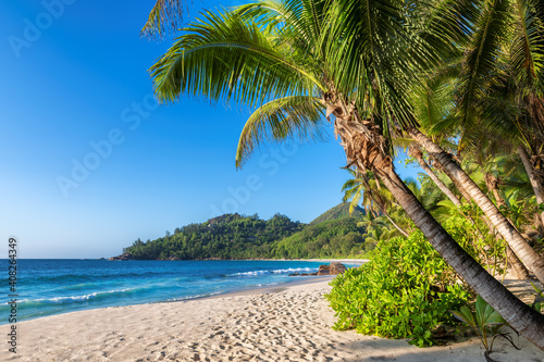 Fototapeta Naklejka Na Ścianę i Meble -  Beautiful beach at sunset with palm trees and turquoise sea in Jamaica island.	