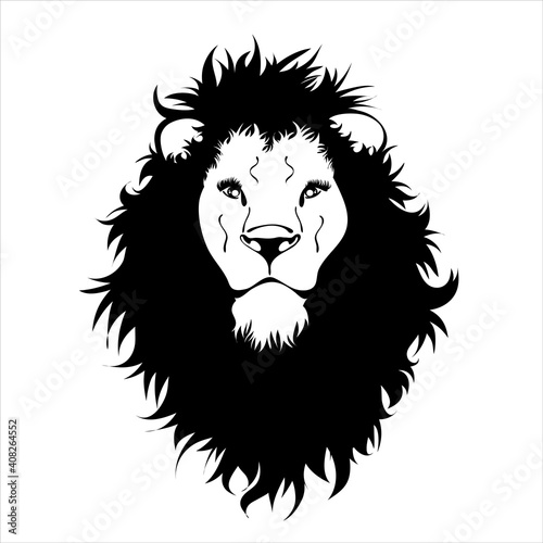 Fototapeta Naklejka Na Ścianę i Meble -  Vector illustration of lion. Symbol of wild animal and safari.