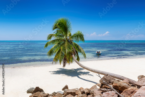 Fototapeta Naklejka Na Ścianę i Meble -  Coco palm over tropical beach. Sandy beach with palm and turquoise sea. Summer vacation and tropical beach concept.	