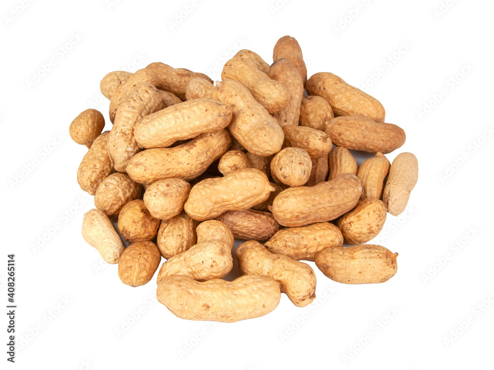 Group of peanuts dry isolated on the white background Group of peanuts dry isolated on the white background