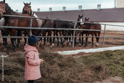 child feeding a horse