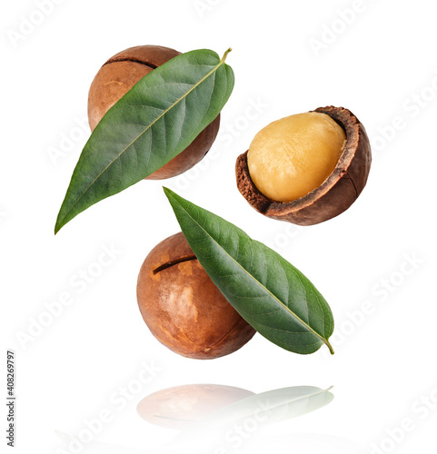 Fresh tasty macadamia nuts falling in the air