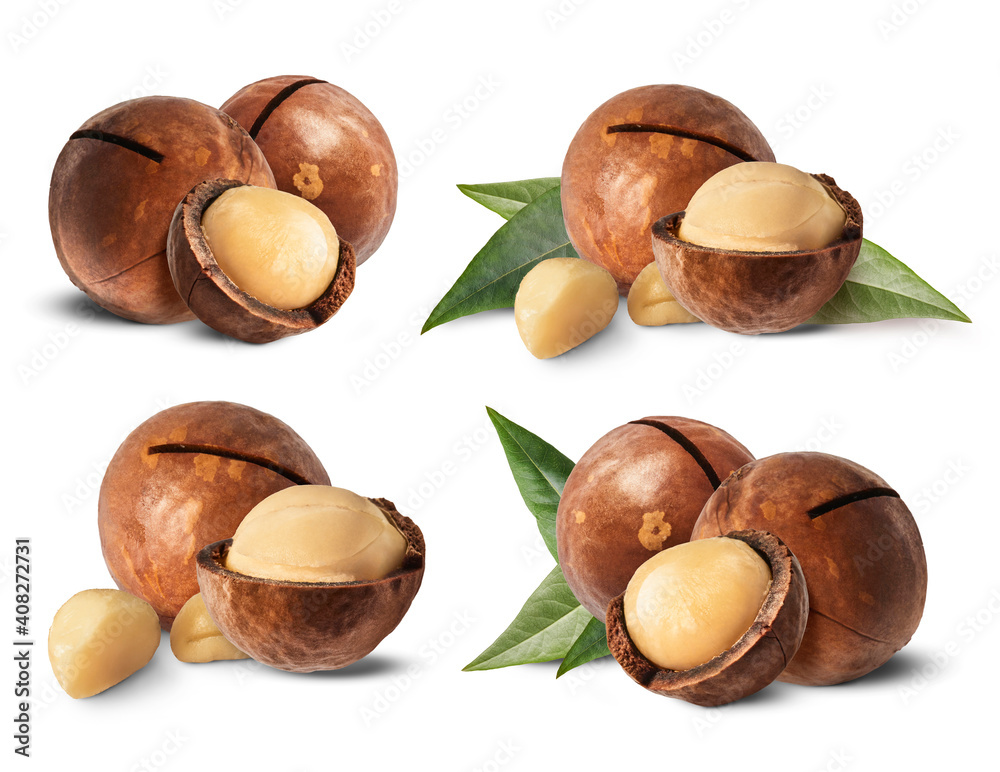 Fresh tasty macadamia nuts Fresh tasty macadamia nuts