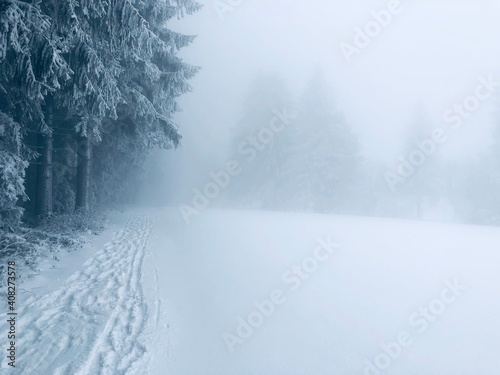 Nebelige Winterlandschaft am Waldrand mit Schnee und Spuren im Schnee