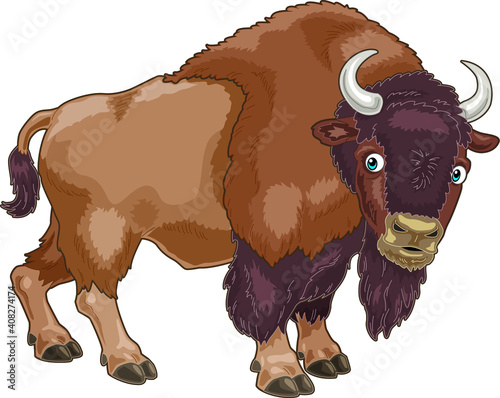 American Bison cartoon illustration Standing and look to front 