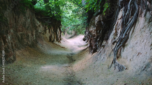 Fotografija Full shot of loess ravine in Kazimierz Dolny, Poland
