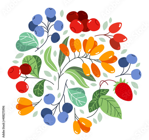 Wild berries fresh and ripe tasty healthy food vector flat style illustration isolated over white, delicious vegetation diet eating, organic food.