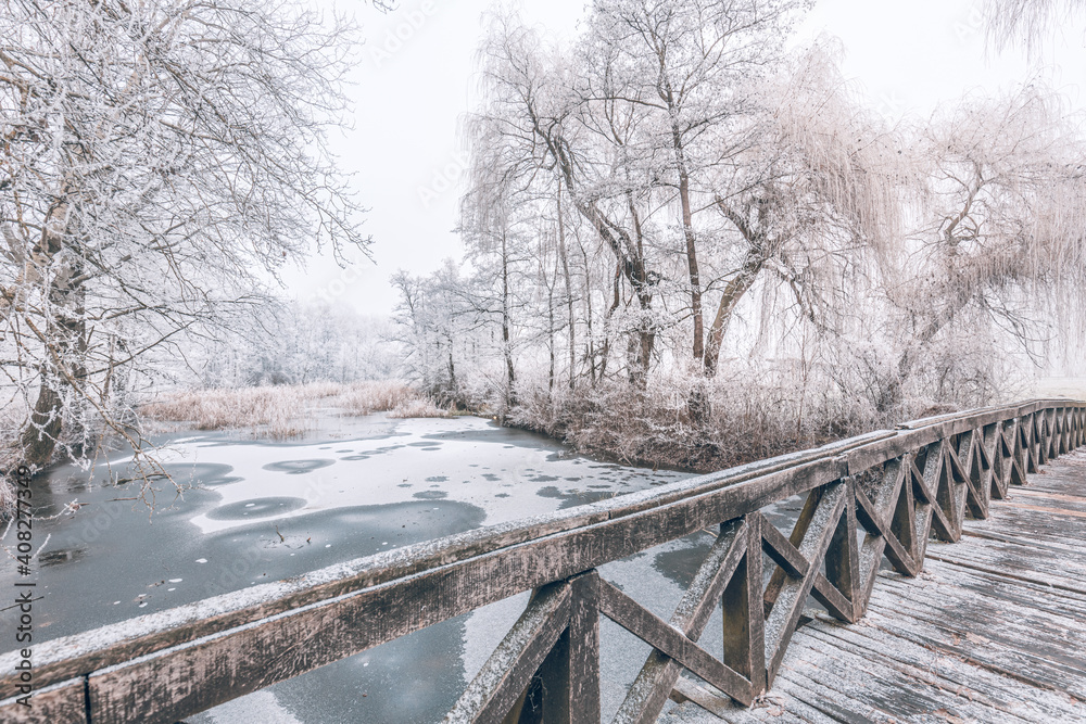 Cold winter day. View of wooden bridge in the forest with hoarfrost on trees and frozen nature landscape. Winter scene at the botanical garden, showing a bridge over frozen water, snow covered trees Cold winter day. View of wooden bridge in the forest with hoarfrost on trees and frozen nature landscape. Winter scene at the botanical garden, showing a bridge over frozen water, snow covered trees