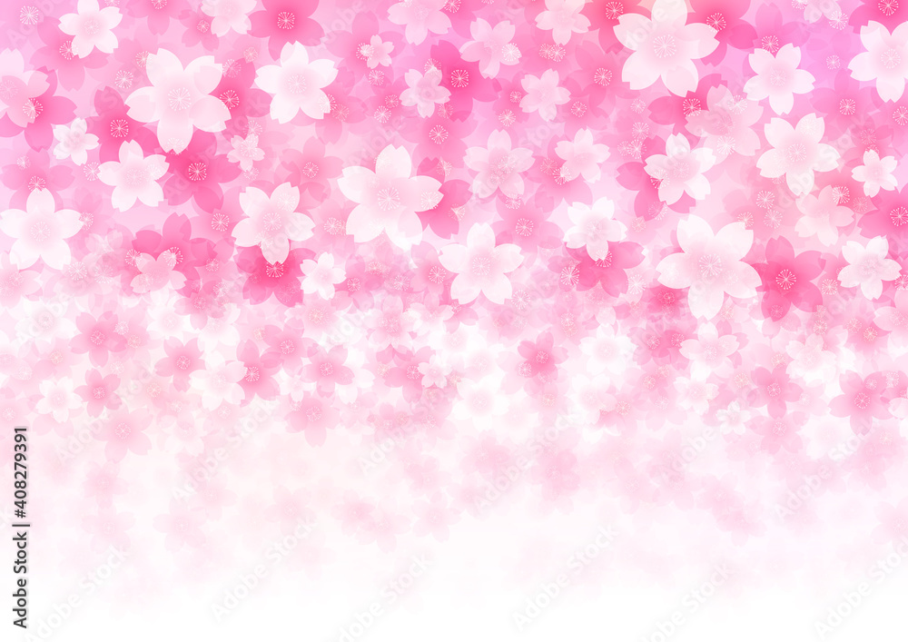 Fototapeta premium 桜の背景イラスト