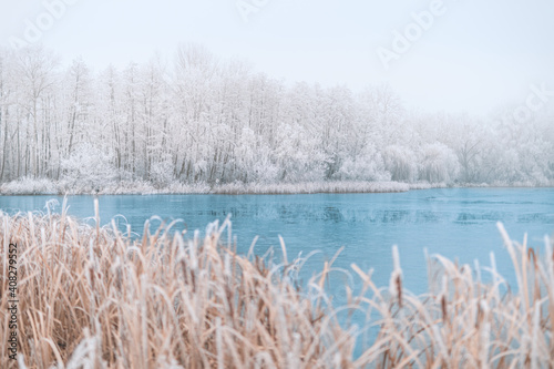Obraz na plátně Frozen lake in snowy forest landscape