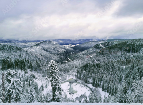 beautiful view of blackforest in germany
