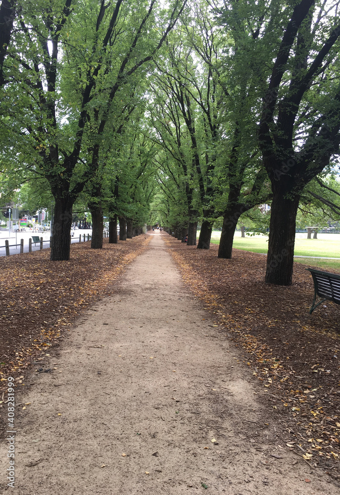 footpath in the park Melbourne Urban design