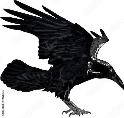 Flying raven - gothic vector isolated on white