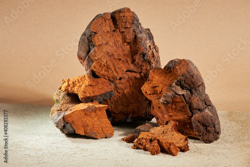 Natural chaga mushroom pieces on a beige background. Inonotus Obliquus is a medical plant.