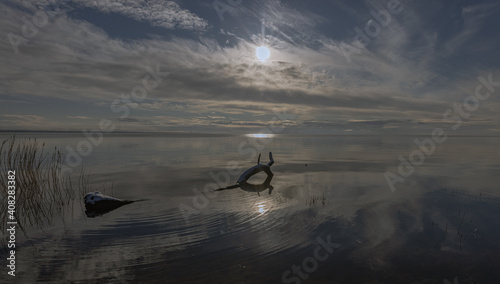 Lough Neagh, Randalstown forest Park, County Antrim, Northern Ireland, Large freshwater lake photo