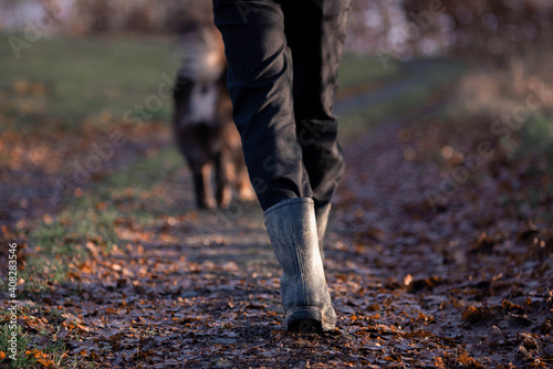 Detail eines Hundespaziergangs eines Gummistiefels mit einem Hund