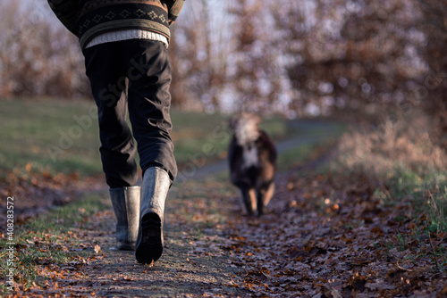 Detail von Gummistiefeln während eines Hundespaziergangs
