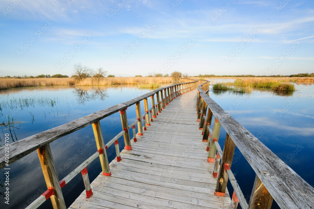 Obraz premium pasarelas al amanecer, parque nacional Tablas de Daimiel, Ciudad Real, Castilla-La Mancha, españa, europa