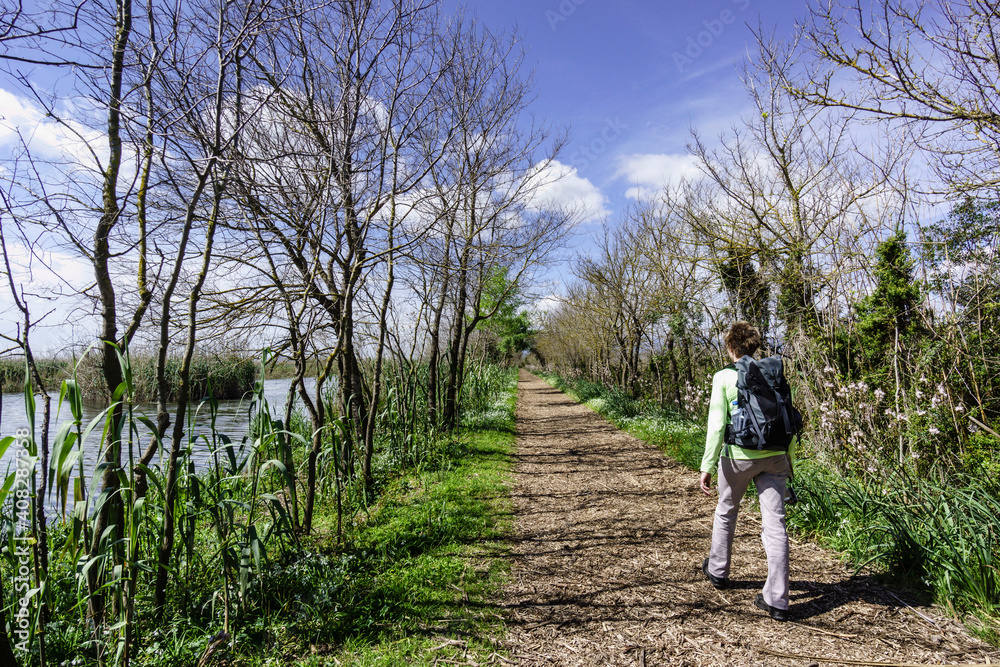 trekking en el camino de Sa Siurana-canal des Sol,, Albufera de mallorca, Mallorca,Islas Baleares,Spain.