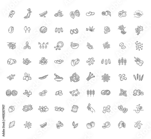 Plant seed and nuts vector icon set