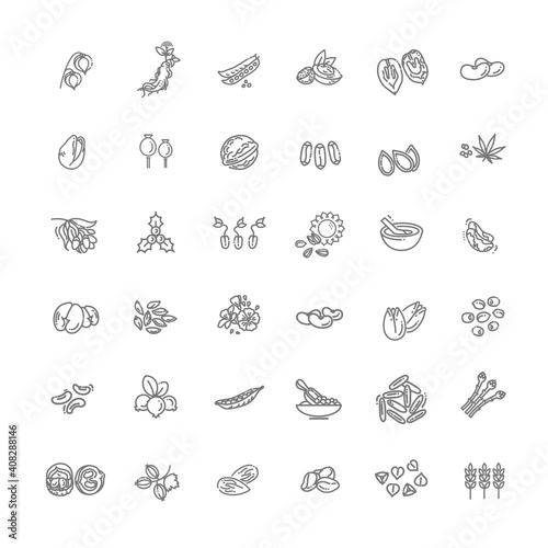 Plant seed and nuts vector icon set