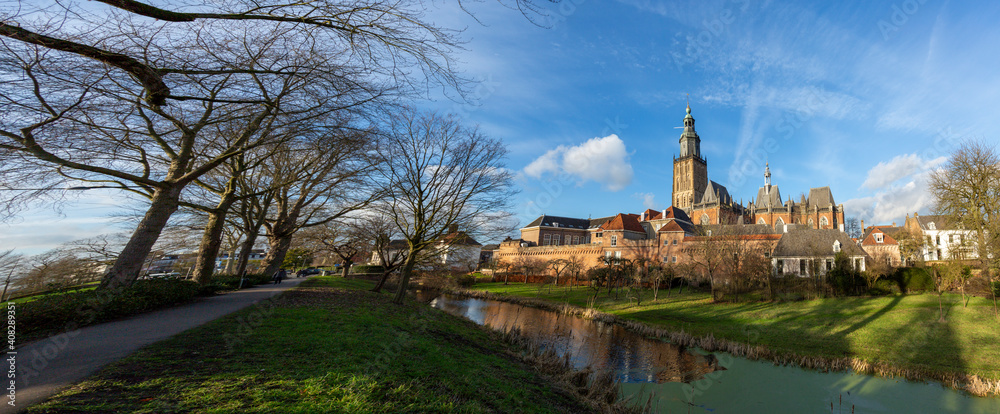 Winter barren trees pointing to medieval Hanseatic city Zutphen in The Netherlands against a blue sky with clouds lit up by afternoon sun with lush winter garden in the foreground