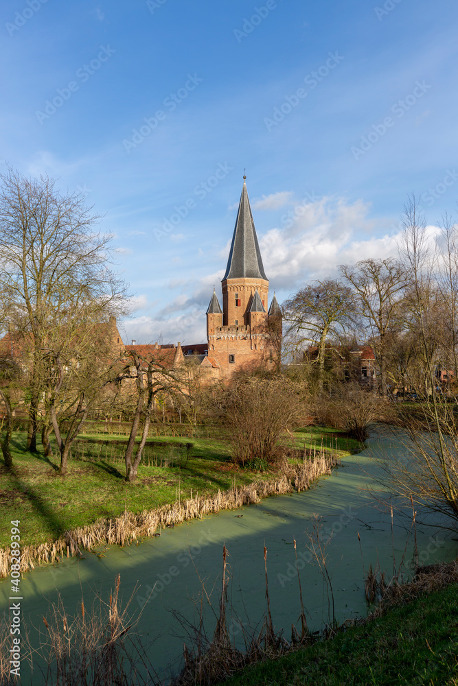 Green algae in waterway surrounding the city center of medieval Hanseatic city Zutphen in The Netherlands with its lush gardens and Drogenapstoren towering in the background