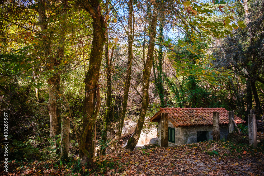 old house in the woods