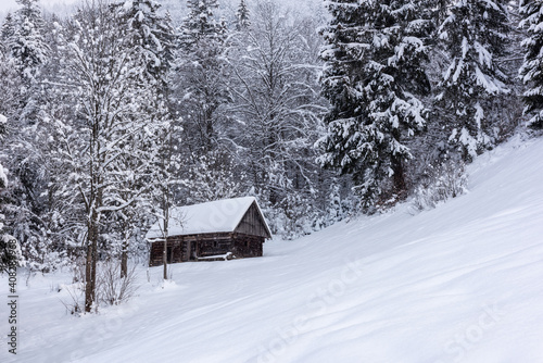 Scenic winter landscape with small wooden lonely house in the snow covered forest on the mountain slope. Outdoor travel natural background, Carpathians, Synevyr pass, Zakarpattia © larauhryn