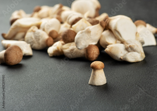 Scattered eringi mushrooms