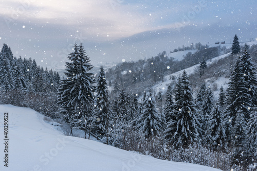Beautiful winter landscape, snowy mountain and Christmas or fir trees in sunset light during snowfall. Outdoor seasonal travel background, alpine countryside of Carpathian mountains