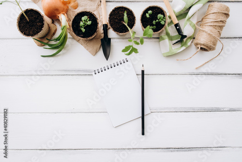 The concept of healthy organic food. Flat lay vegetable sprouts in pots and with garden tools on a white background