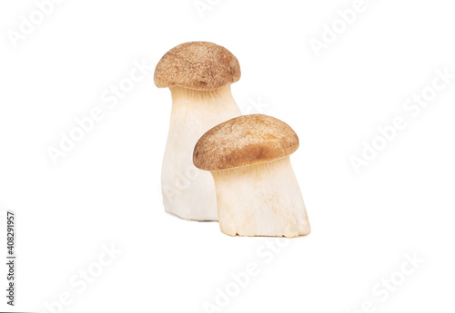 Two mushrooms eringi