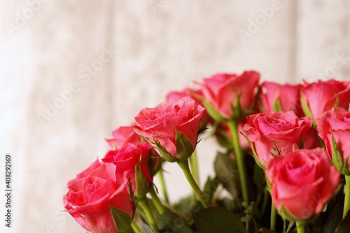pink roses on wooden background