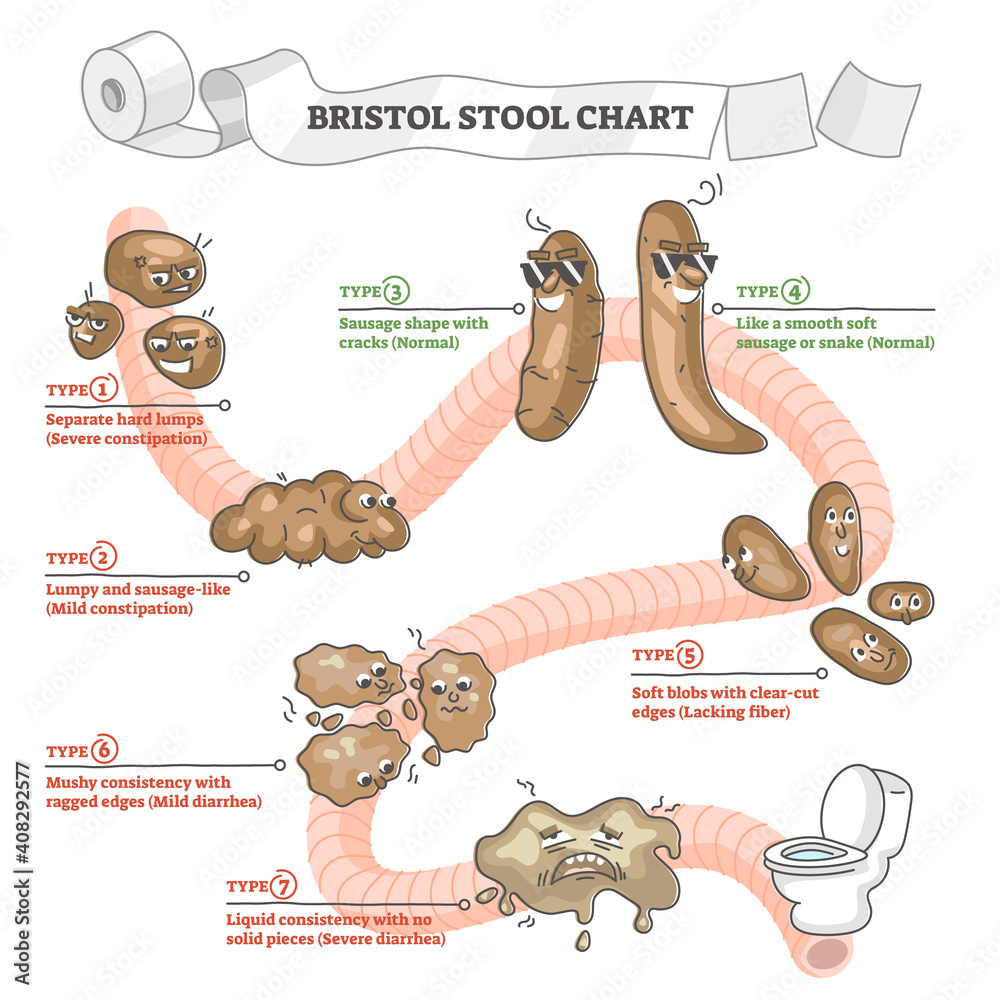 How To Empty Your Bowels Every Morning
