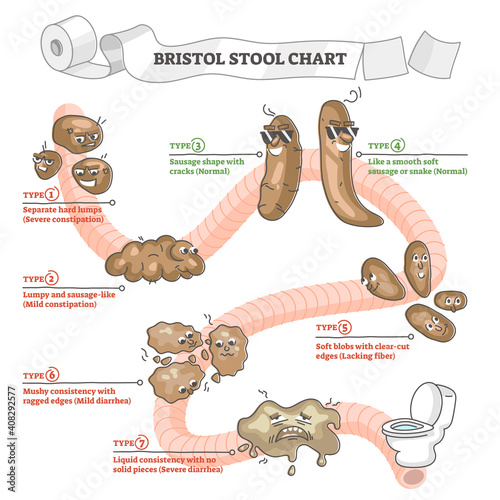 Bristol stool chart with excrement description and types outline concept